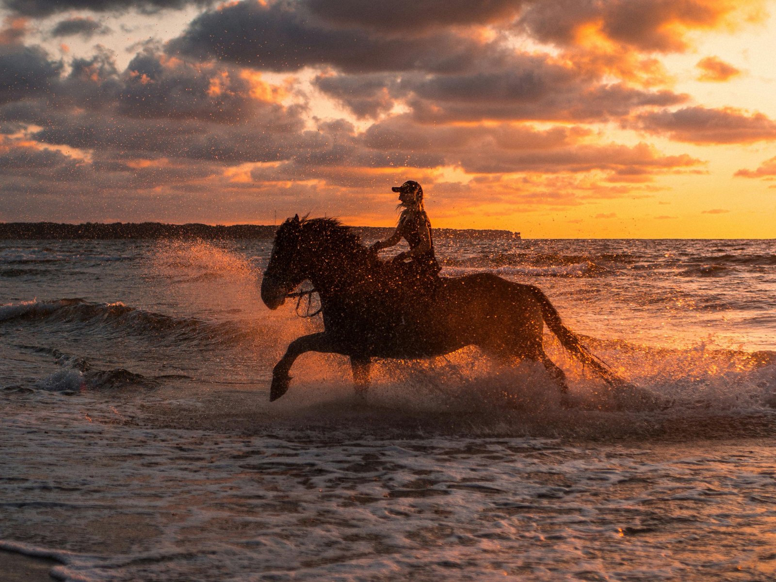 Horse Riding between Desert & Sea