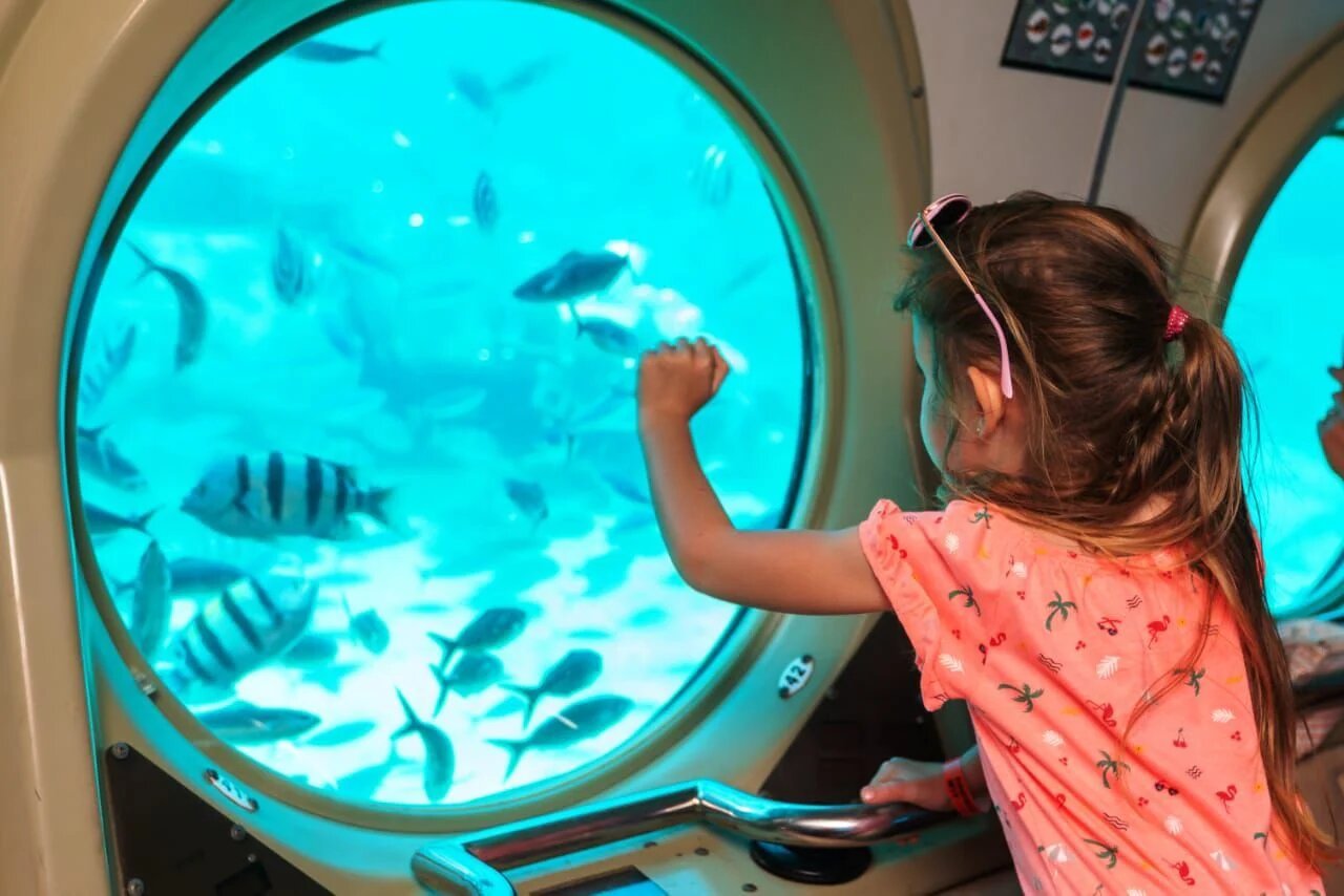 Sindbad Submarine – Red Sea Underwater Experience – photo 2