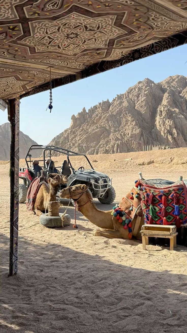 Super Safari by Jeep – photo 3