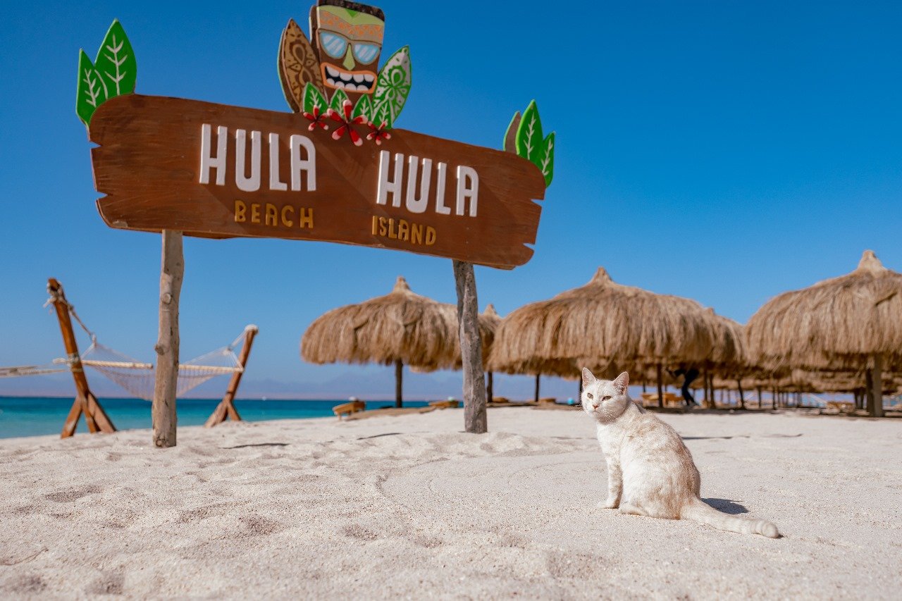 Hula Hula Island Snorkeling Trip