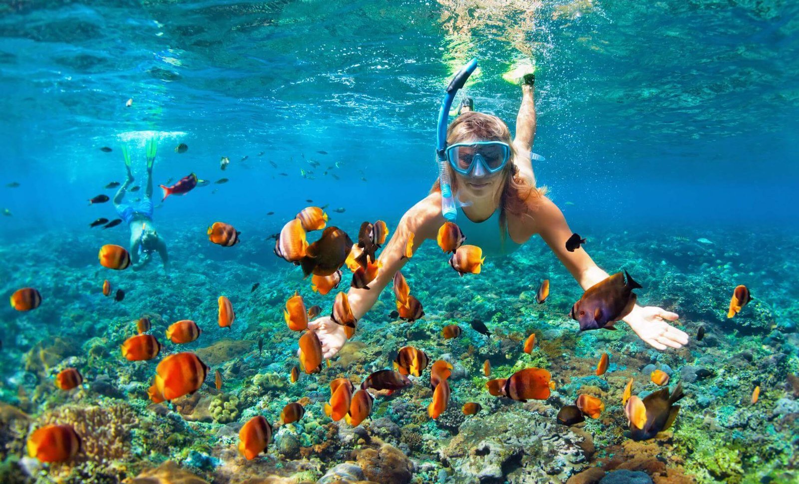 Sharm El Naga Snorkeling Trip