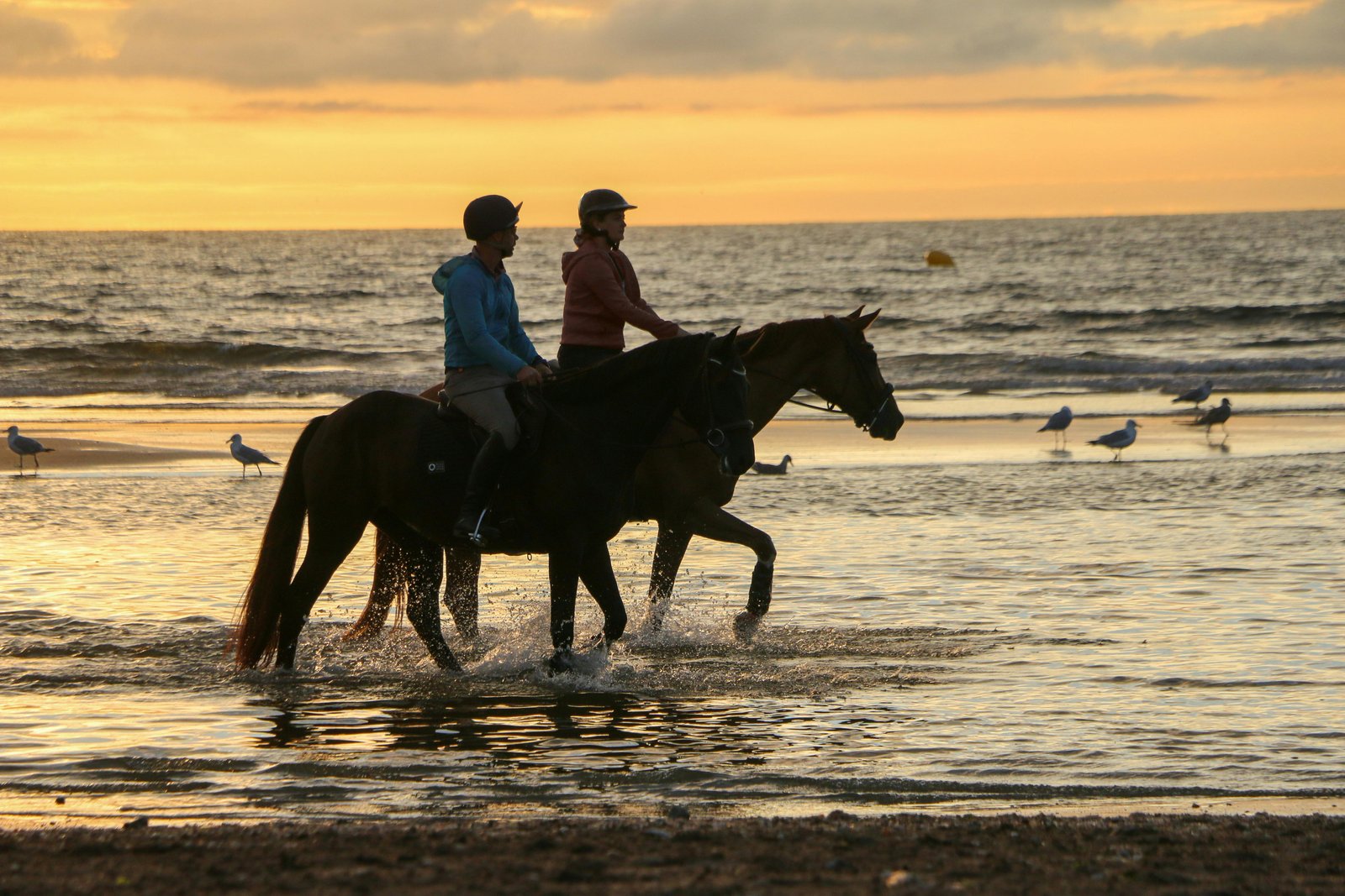 Horse Riding between Desert & Sea – photo 2