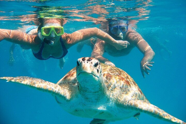 Abu Dabbab Bay – Snorkeling with Turtles & Dugong – photo 2