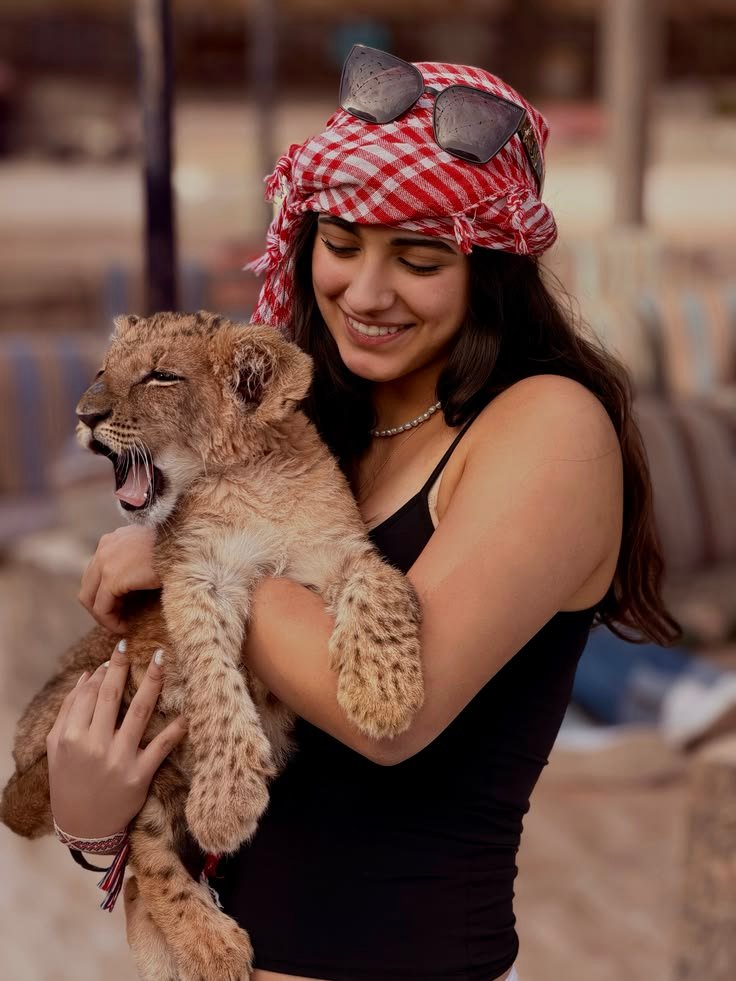 Super Mega Safari – photo 2