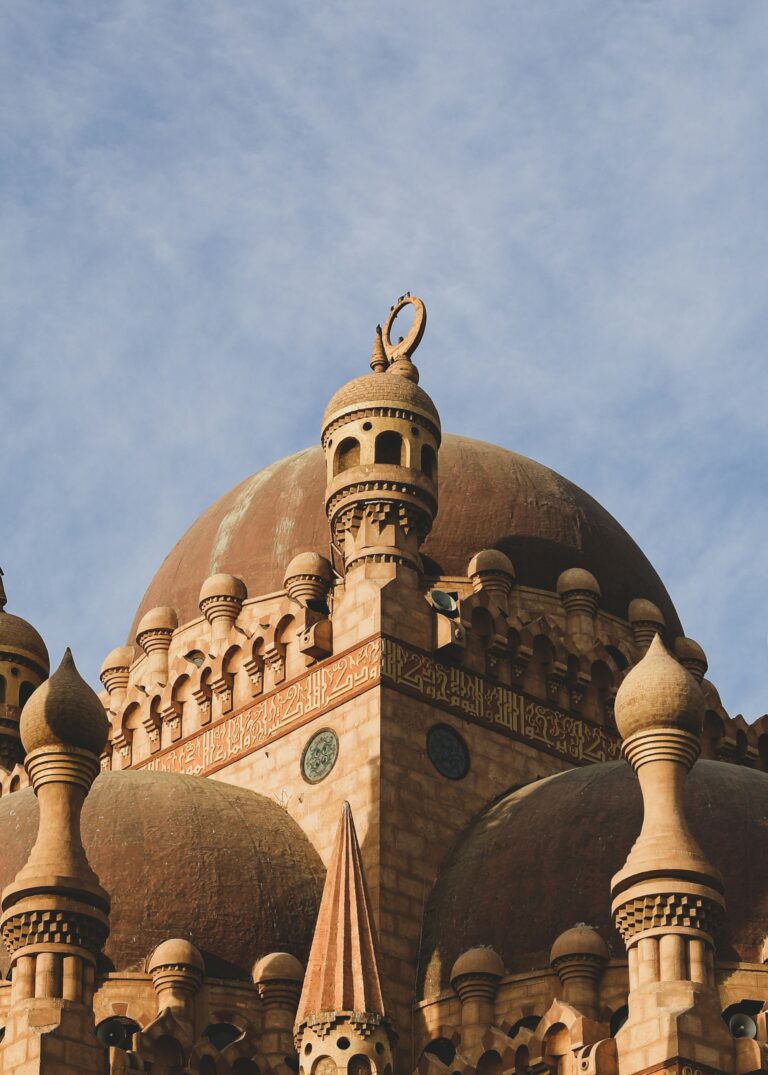 omar-elsharawy-9vg2PMlVtFY-unsplash