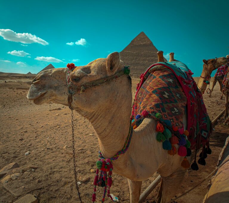 sayed-khalid-wzsRFRMpBCc-unsplash