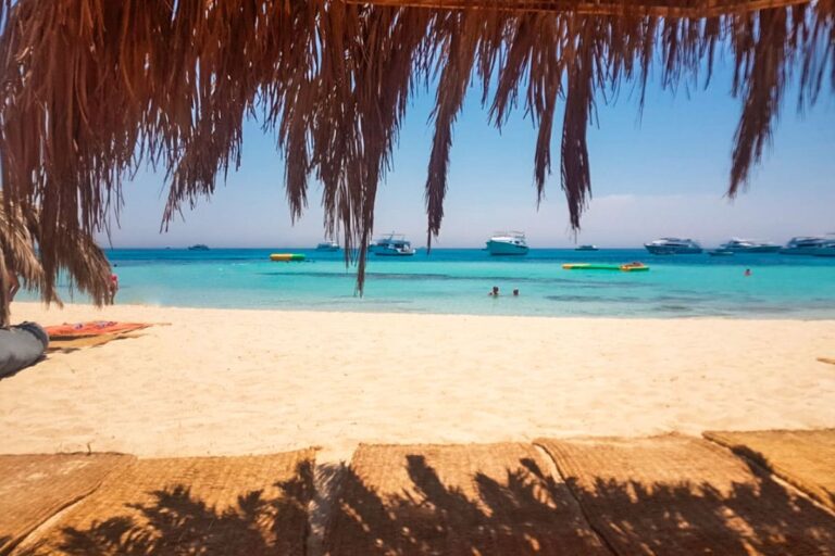 paradiseisl2